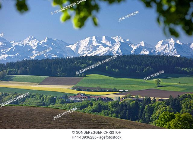Gurten, Bernese, Alps, mountain, mountains, canton, Bern, Jungfrau, monk, Mönch, Eiger, scenery, landscape, agriculture, Switzerland, Europe