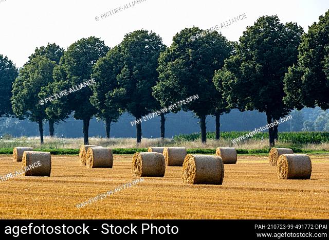 23 July 2021, Bavaria, Mintraching: Bales of straw lie in a field. Photo: Armin Weigel/dpa. - Mintraching/Bavaria/Germany