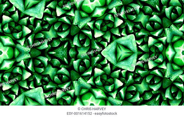Seamless Green Cactus Pattern
