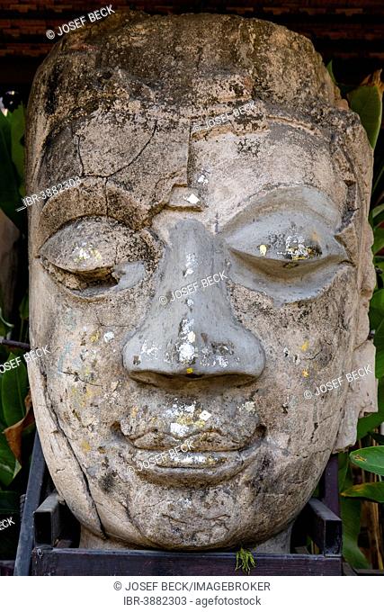 Buddha head, Wat Jedlin, Chiang Mai, Northern Thailand, Thailand