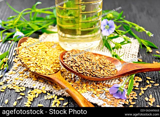 Flaxseeds white and brown in two spoons, stalks of flax with blue flowers and green leaves on burlap, oil in a bottle on wooden board background
