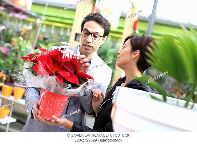 Couple buying poinsettias, christmas, garden center