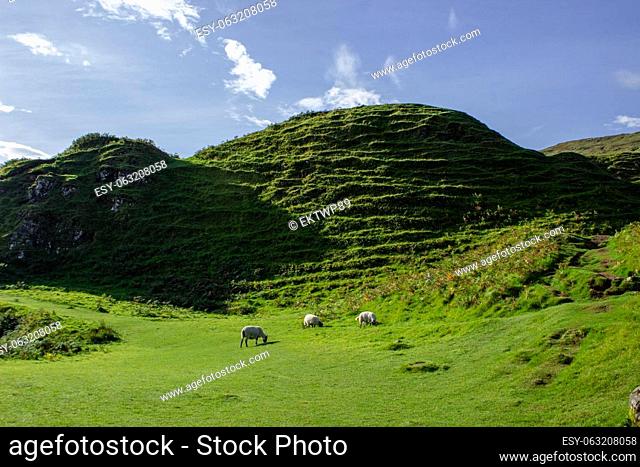 Cone-shaped hills of the Fairy Glen with sheep, Scotland, UK