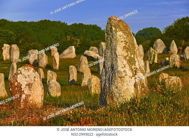 Carnac, Megalithic stones, Megalitic alignments, Morbihan, Bretagne, Brittany, France, Europe