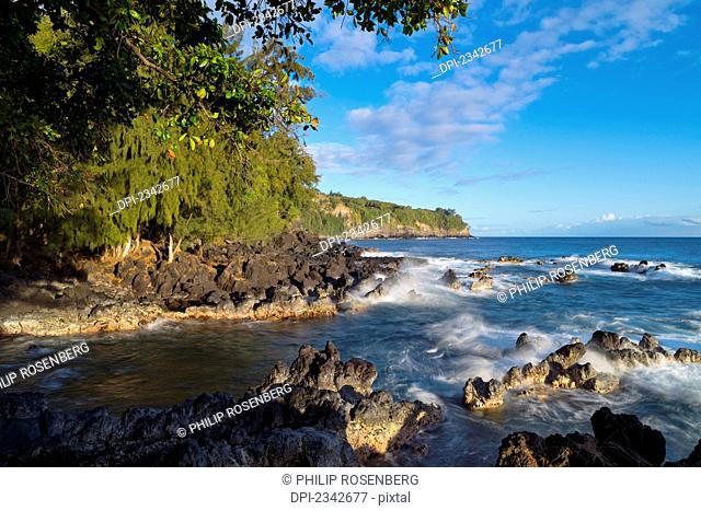 View of the coastline on an Hawaiian island; Lapahoehoe, Hamakua, Big Island, Hawaii, United States of America