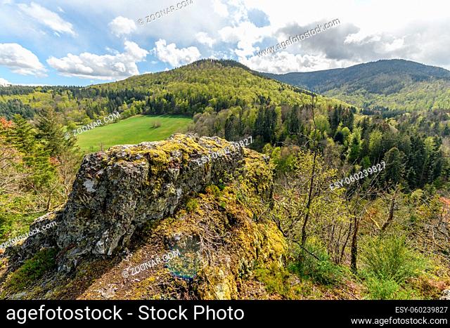 Mountain landscape in spring in the Vosges in France