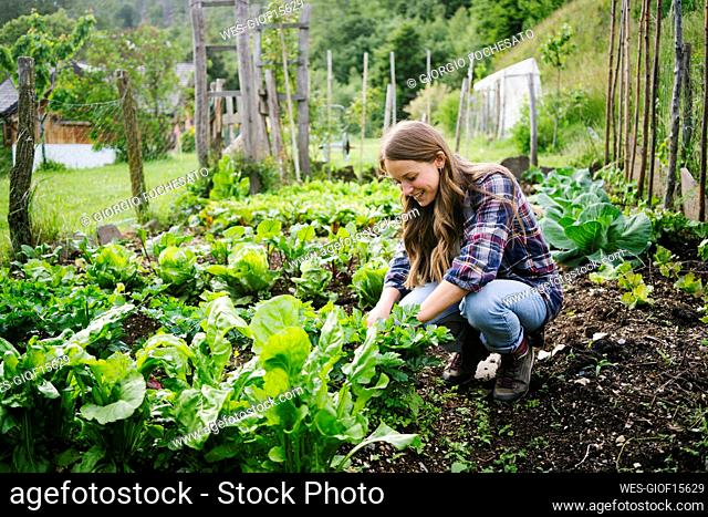 Smiling woman planting leaf vegetable in garden