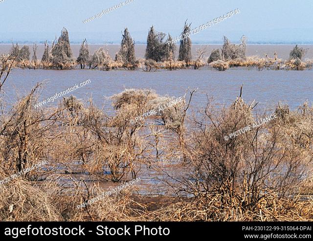 23 September 2022, Tanzania, Mto Wa Mbu: Dried trees stand on the shore and in the water of Lake Manyara National Park. The park in the north of the country...