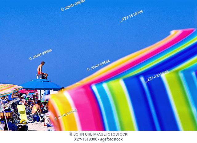 Crowded summer beach with colorful umbrellas, Nauset Beach, Cape Cod National Seashore, Cape Cod, MA, Massachusetts, USA