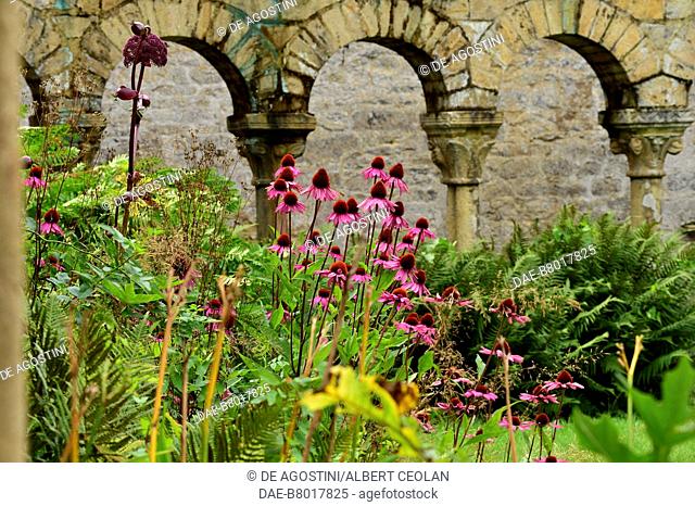 Flowers in the cloister garden, Notre-Dame Abbey of Daoulas, Brittany, France