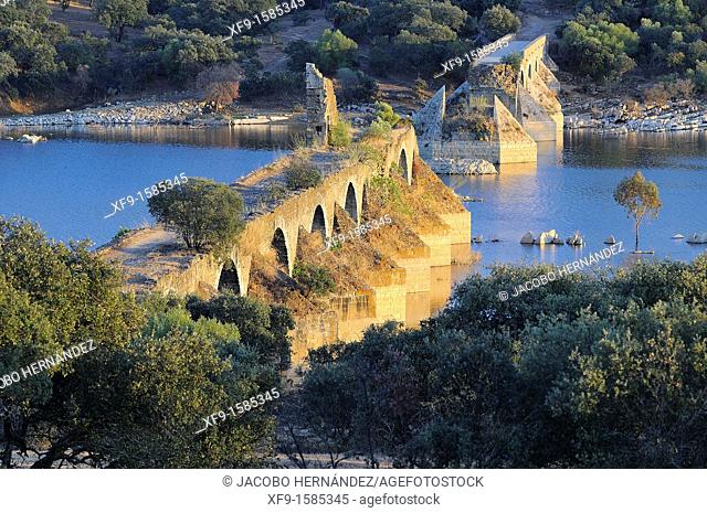 Puente Ajuda. S.XVI. Guadiana river. Border of Spain and Portugal. Badajoz province. Extremadura. Spain