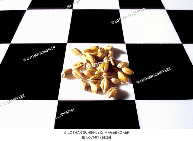 Chess board (checkerboard, cequerboard) with thirtytwo grains of wheat. Story (legend) of the Indian king Shihram and the wise man Sissa bin Dahir