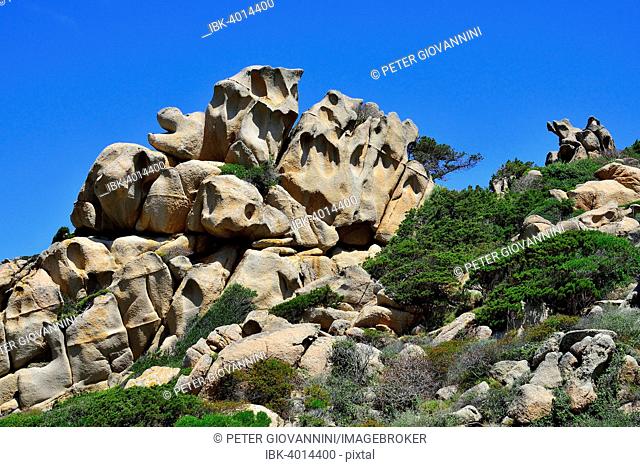 Bizarre rock formations, Tafoniverwitterung in the Valle della Luna, Capo Testa, Province of Olbia-Tempio, Sardinia, Italy