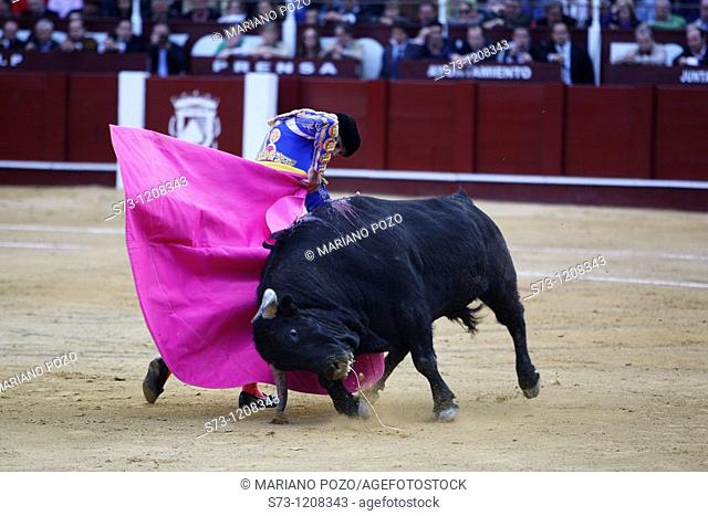Bullfight in La Malagueta, Málaga, Andalusia, Spain