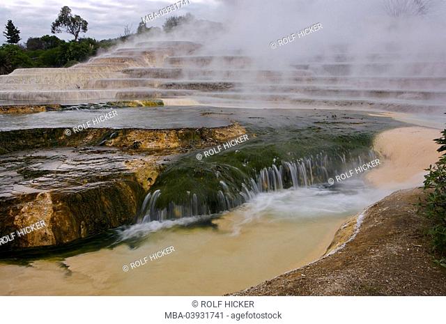 New Zealand, north-island, Wairakei Terraces, steam, destination, sight, attraction, tourist attraction, tourism, nature, nature-appearance, thermal-area