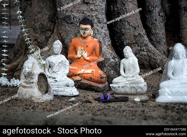 Buddha Statues detail under a tree