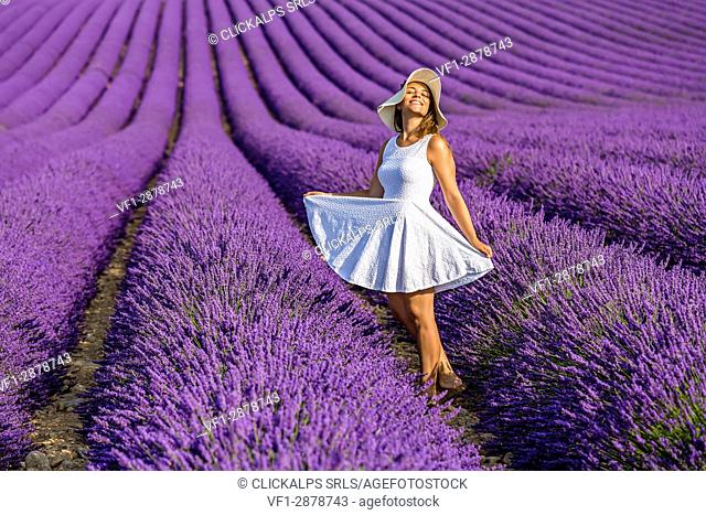 Woman in white in a lavender field. Plateau de Valensole, Alpes-de-Haute-Provence, Provence-Alpes-Cote d'Azur, France, Europe