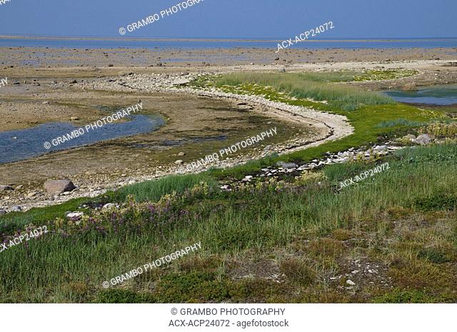 Summer landscape patterns on coast of Hudson Bay near Churchill, Manitoba, Canada