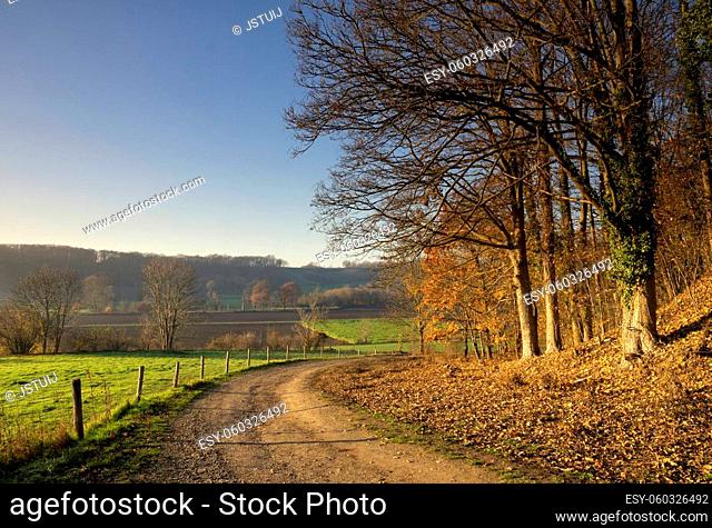 Sandy path in a hilly autumn landscape close to the Dutch city Maastricht in the southern province Maastricht