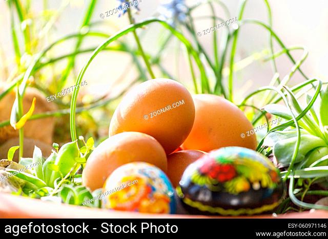 Close up Easter eggs in a basket. Spring easter background