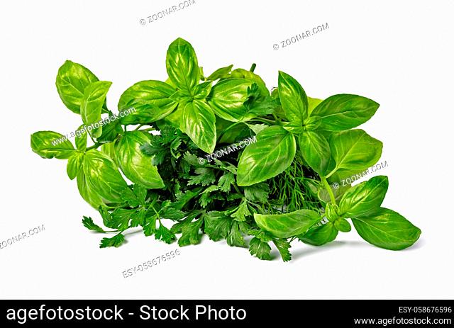Fresh spices and herbs isolated on white background