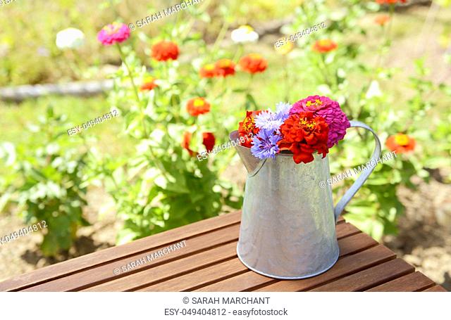 Metal pitcher full of brightly coloured flowers, freshly cut from a summer flower garden