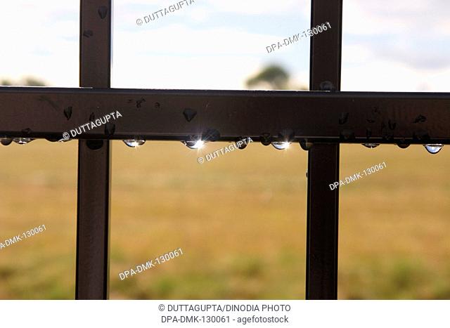 Water drops on boundary fencing