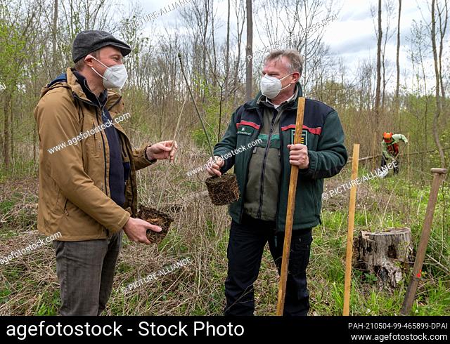 04 May 2021, Saxony, Schkeuditz: Wolfram Günther (Greens, l.), Saxony's Minister of the Environment, plants the first of 125 ash trees in the floodplain forest...
