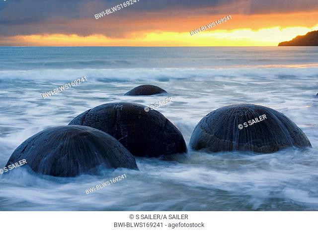 Moeraki Boulders, massive spherical rocks at dawn surrounded by water of incoming tide, New Zealand, Southern Island, Coastal Otago