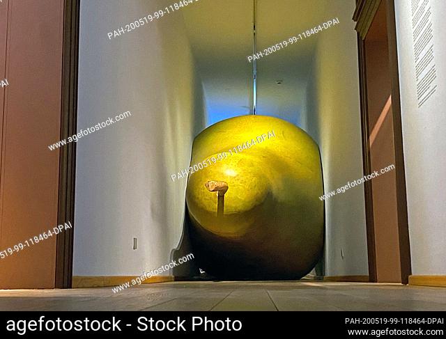 12 May 2020, Brandenburg, Ribbeck: A walk-in pear is located in the corridor of the Fontane Museum in the Brandenburg municipality