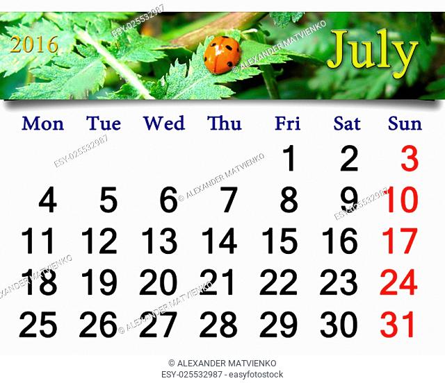 calendar for July 2016 with ribbon of ladybirds on the white camomile