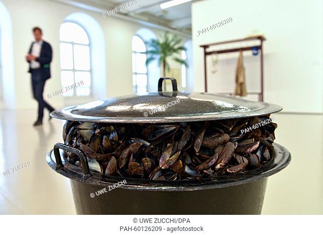 The artwork ""Großer Muscheltopf"" (lit. large shell pot) by Belgian artist Marcel Broodthaers (1924-1976) on display at the Fridericianum in Kassel, Germany