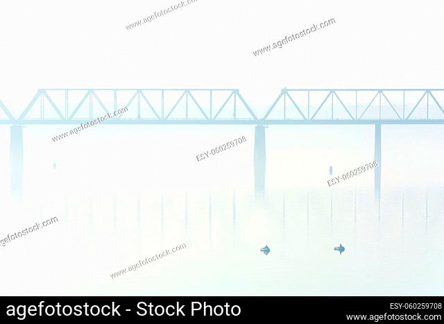 spans of the bridge in the fog