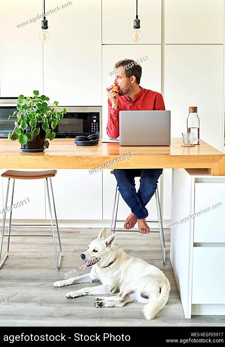 Freelancer sitting with laptop and eating apple at home