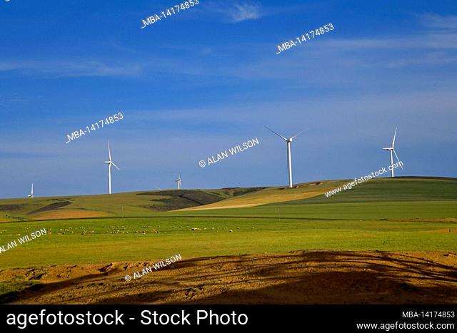 Wind turbines near Caledon, western Cape, South Africa