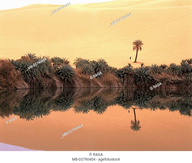Libya, Sahara, Ubari Lakes, Umm al-Maa brine, water reflection, Palms Africa, North Africa, erg, desert, sand desert, dunes, Sand dunes, oasis, sea, shores