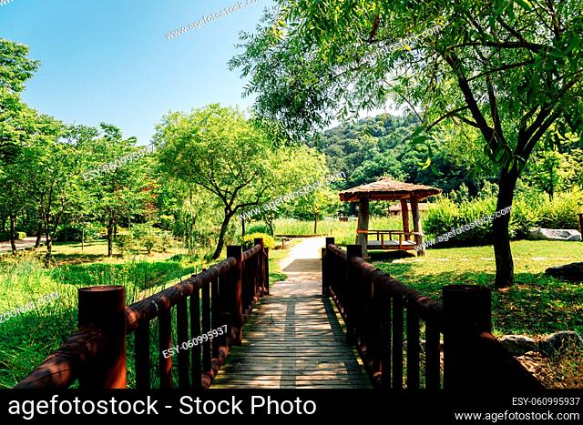Green forest road with gazebo at Wolmi Park Traditional Garden in Incheon, Korea