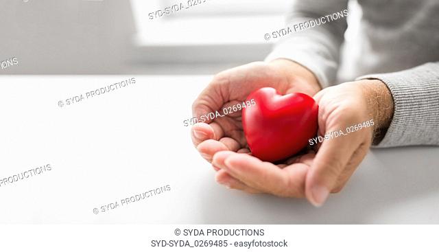 cupped senior man hands with red heart shape