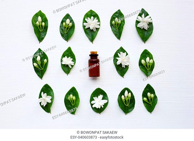 Bottle of essential oil with jasmine flower and leaves on white background