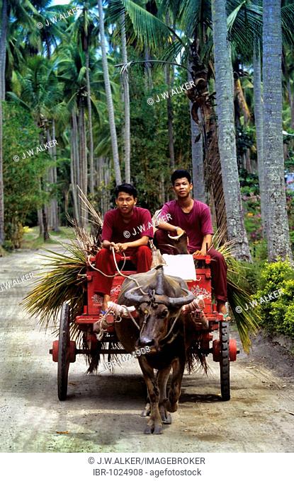 Philippinos on a traditionel oxcart, Mindoro, Philippines, Southeast Asia