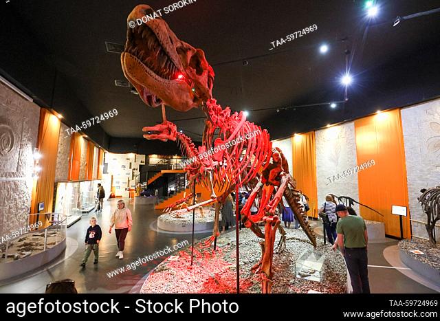 RUSSIA, PERM - JUNE 10, 2023: Una réplica de un esqueleto de Tarbosaurus está en exhibición en el Museo de la Prehistoria Perm. Donat Sorokin/TASS