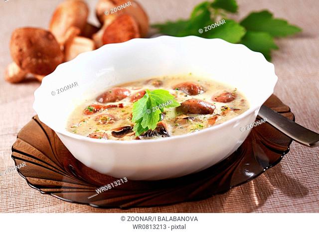 Mushroom soup with field mushroom agaricus and shiitake mushroom