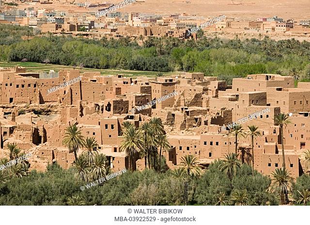 Morocco, Tinerhir, city view, Africa, North-Africa, city, desert-city, houses, buildings, clay-construction-manner, architecture, oasis, palms, date-palms