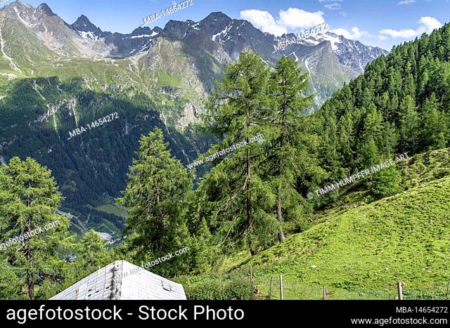 Europe, Austria, Tyrol, Alps, Eastern Alps, Ötztal Alps, Pitztal, view from Arzler Alm to Geigenkamm ridge