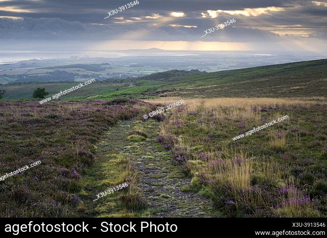 The Great Road at Longstone Hill in the Quantock Hills Area of Outstanding Natural Beauty with the Bristol Channel beyond, Somerset, England