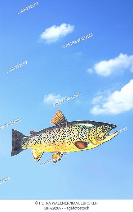 Compositing fish and cloudy sky