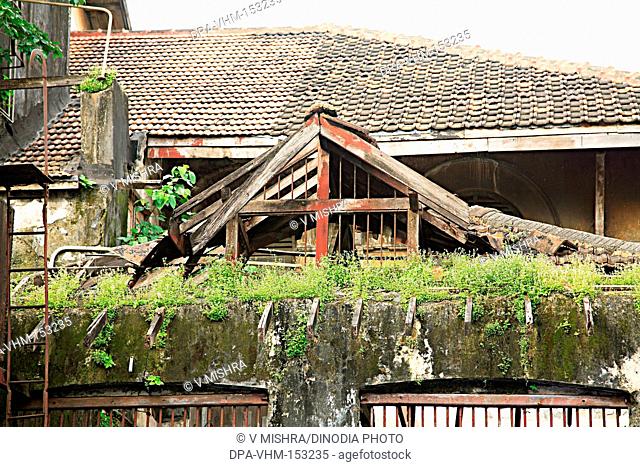 Mud roof old building ; Sitaram Podar road ; Fanas Wadi ; Girgaon ; Charni Road ; Bombay Mumbai ; Maharashtra ; India
