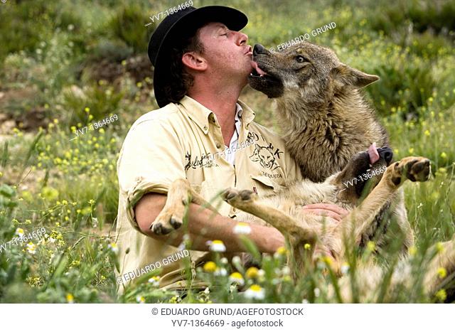 Daniel Weigend, playing and getting pampered by acceptance of its Iberian wolves, Wolf park, Antequera, Malaga, Andalusia, Spain