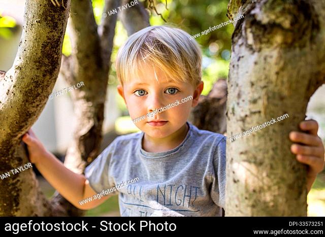 Close-up of a young boy with blue eyes in a tree, looking at the camera; Vientiane, Vientiane Prefecture, Laos