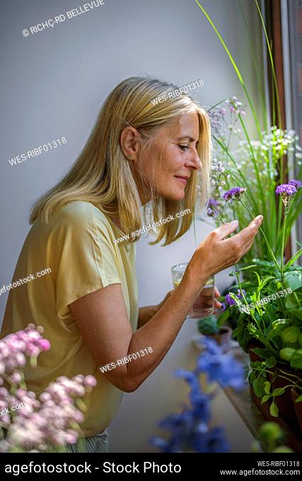 Mature man smelling flower near window at home